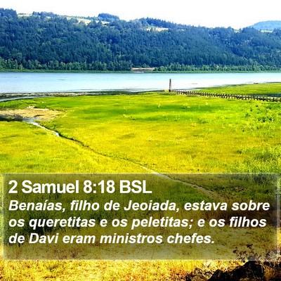 2 Samuel 8:18 BSL Bible Verse Image