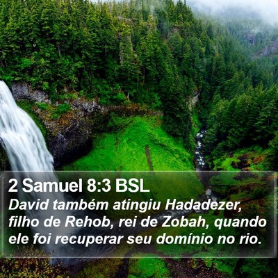 2 Samuel 8:3 BSL Bible Verse Image