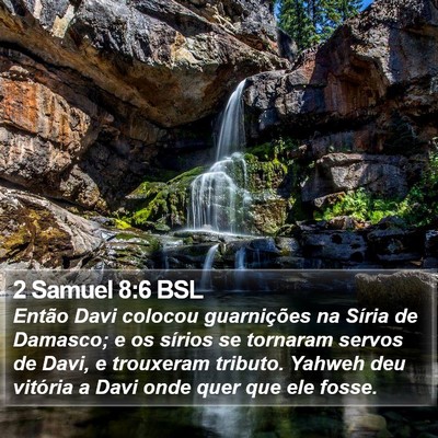 2 Samuel 8:6 BSL Bible Verse Image