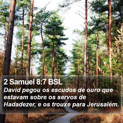 2 Samuel 8:7 BSL Bible Verse Image