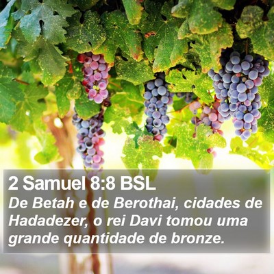 2 Samuel 8:8 BSL Bible Verse Image