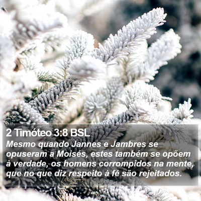 2 Timóteo 3:8 BSL Bible Verse Image