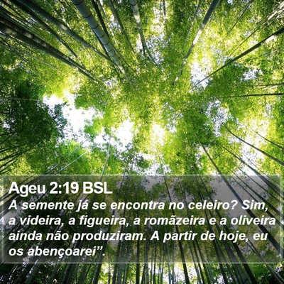 Ageu 2:19 BSL Bible Verse Image