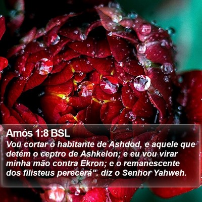 Amós 1:8 BSL Bible Verse Image