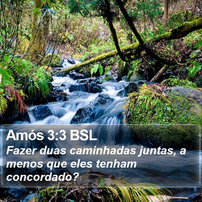 Amós 3:3 BSL Bible Verse Image