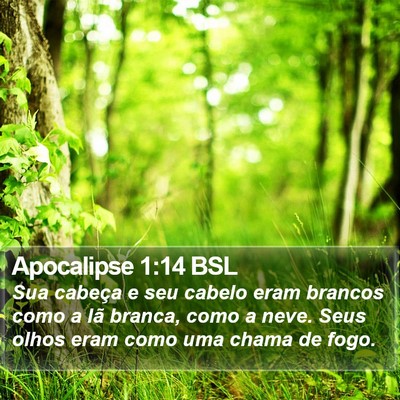Apocalipse 1:14 BSL Bible Verse Image