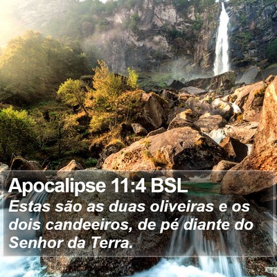 Apocalipse 11:4 BSL Bible Verse Image