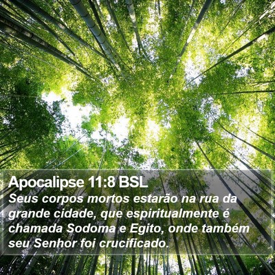 Apocalipse 11:8 BSL Bible Verse Image
