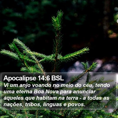 Apocalipse 14:6 BSL Bible Verse Image