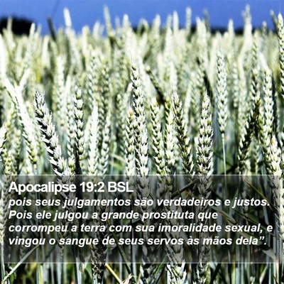 Apocalipse 19:2 BSL Bible Verse Image