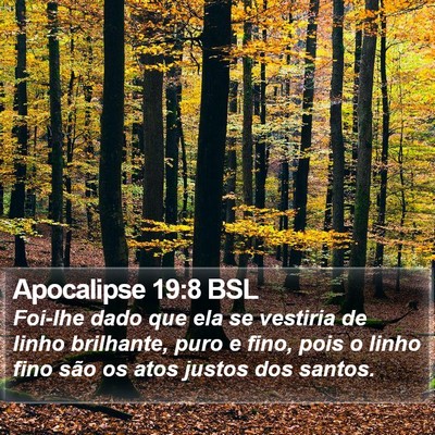 Apocalipse 19:8 BSL Bible Verse Image
