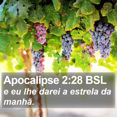 Apocalipse 2:28 BSL Bible Verse Image