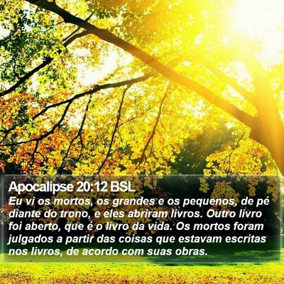 Apocalipse 20:12 BSL Bible Verse Image