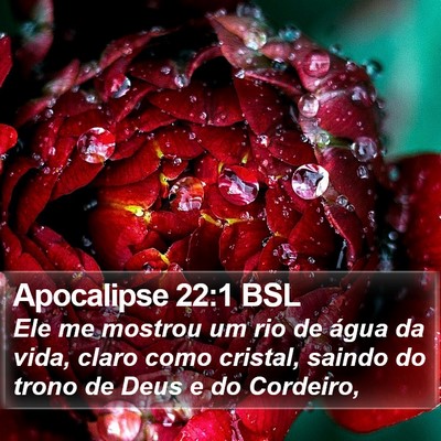 Apocalipse 22:1 BSL Bible Verse Image