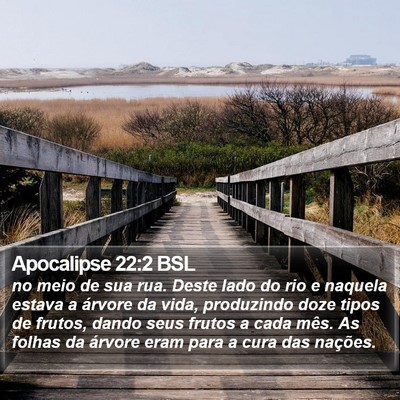 Apocalipse 22:2 BSL Bible Verse Image