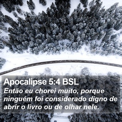 Apocalipse 5:4 BSL Bible Verse Image
