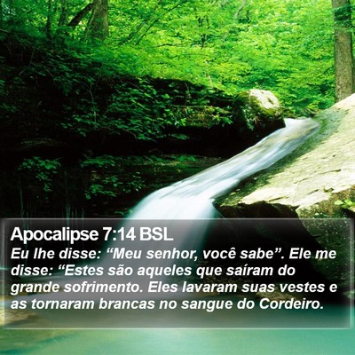 Apocalipse 7:14 BSL Bible Verse Image