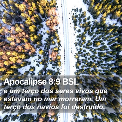 Apocalipse 8:9 BSL Bible Verse Image
