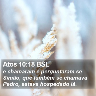 Atos 10:18 BSL Bible Verse Image