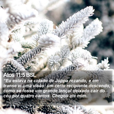 Atos 11:5 BSL Bible Verse Image