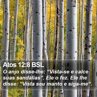 Atos 12:8 BSL Bible Verse Image