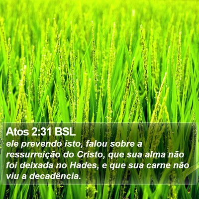 Atos 2:31 BSL Bible Verse Image