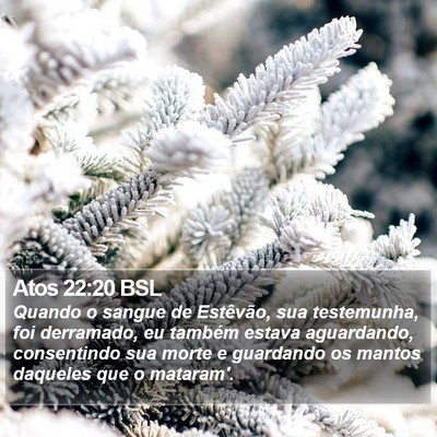 Atos 22:20 BSL Bible Verse Image