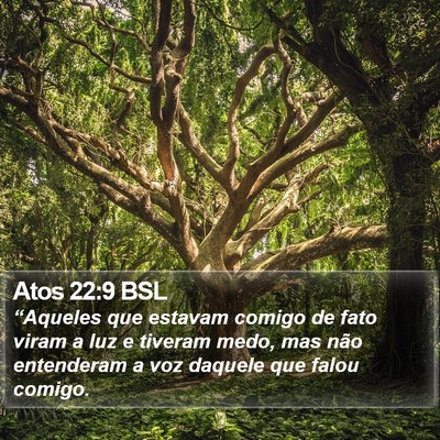 Atos 22:9 BSL Bible Verse Image