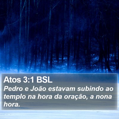 Atos 3:1 BSL Bible Verse Image