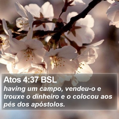Atos 4:37 BSL Bible Verse Image