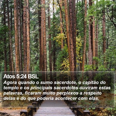 Atos 5:24 BSL Bible Verse Image