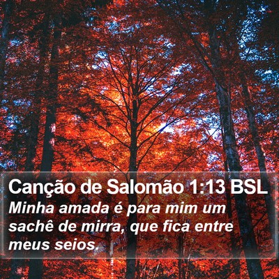 Canção de Salomão 1:13 BSL Bible Verse Image
