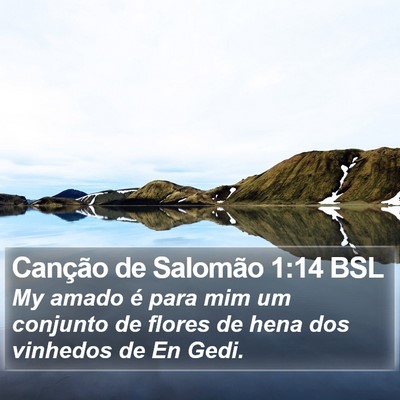 Canção de Salomão 1:14 BSL Bible Verse Image