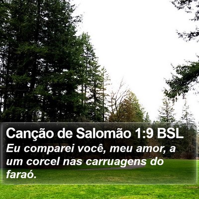 Canção de Salomão 1:9 BSL Bible Verse Image