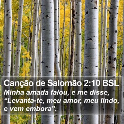 Canção de Salomão 2:10 BSL Bible Verse Image