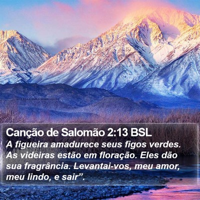 Canção de Salomão 2:13 BSL Bible Verse Image