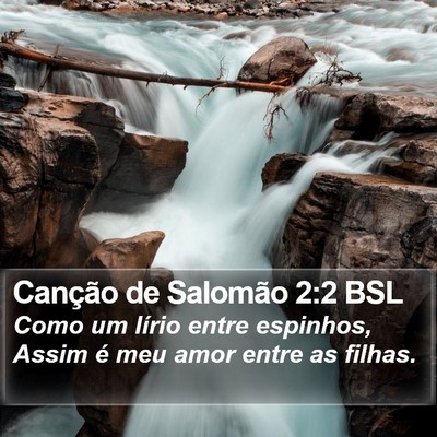Canção de Salomão 2:2 BSL Bible Verse Image