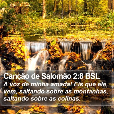 Canção de Salomão 2:8 BSL Bible Verse Image