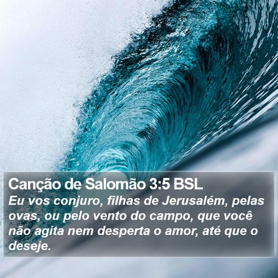 Canção de Salomão 3:5 BSL Bible Verse Image