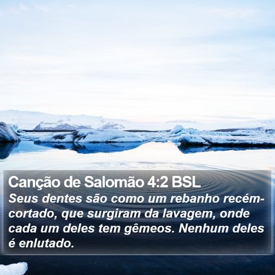Canção de Salomão 4:2 BSL Bible Verse Image