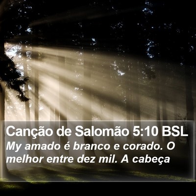 Canção de Salomão 5:10 BSL Bible Verse Image