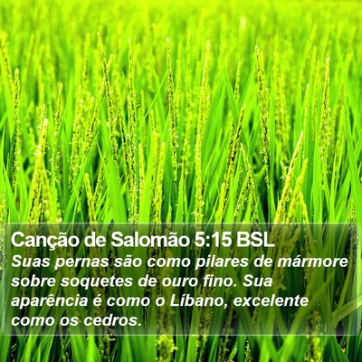 Canção de Salomão 5:15 BSL Bible Verse Image