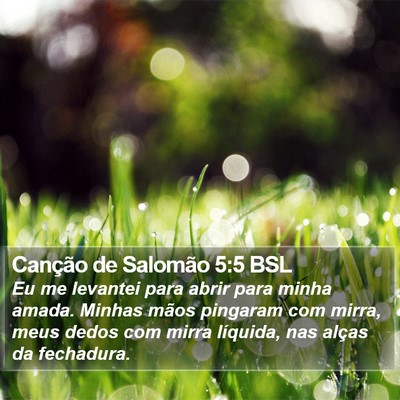 Canção de Salomão 5:5 BSL Bible Verse Image