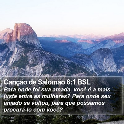 Canção de Salomão 6:1 BSL Bible Verse Image