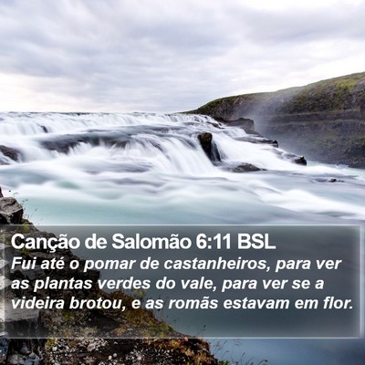 Canção de Salomão 6:11 BSL Bible Verse Image