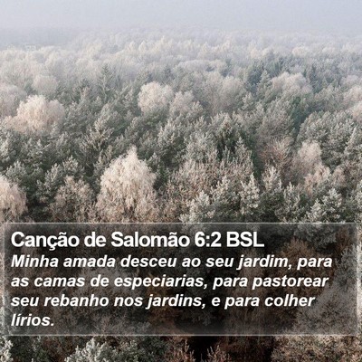 Canção de Salomão 6:2 BSL Bible Verse Image
