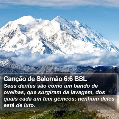 Canção de Salomão 6:6 BSL Bible Verse Image