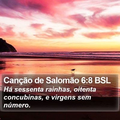Canção de Salomão 6:8 BSL Bible Verse Image