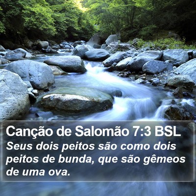 Canção de Salomão 7:3 BSL Bible Verse Image