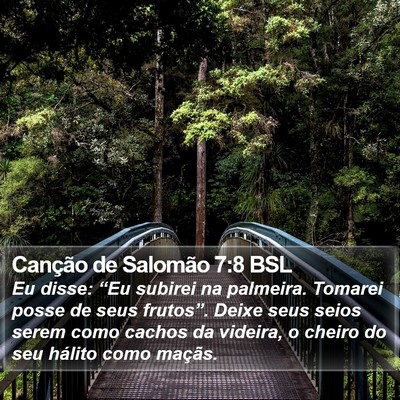 Canção de Salomão 7:8 BSL Bible Verse Image